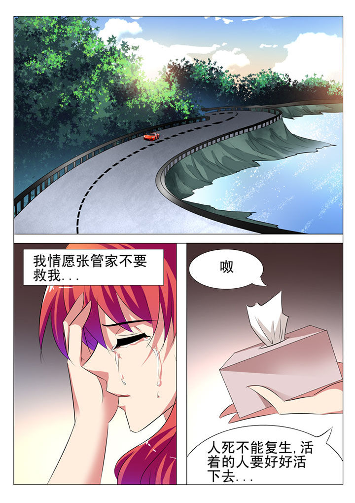 豪门刺客漫画小说叫什么漫画,第43章：1图