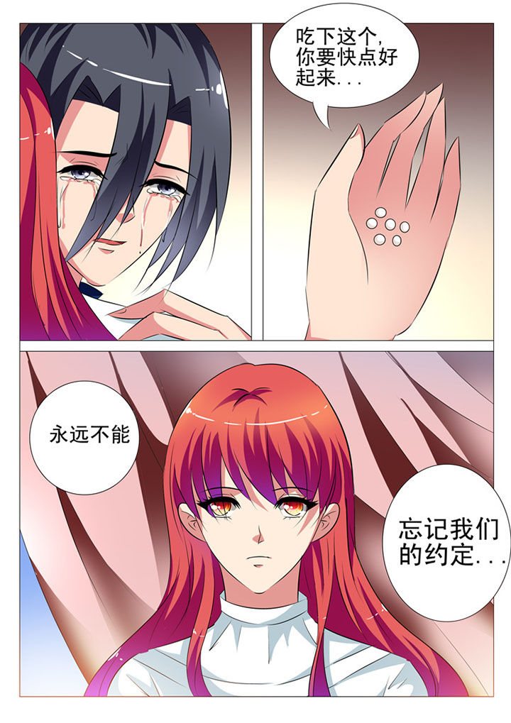 豪门傻婿漫画,第86章：2图