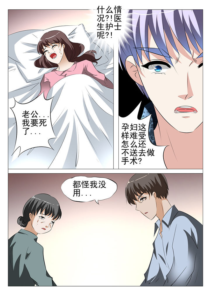 名媛刺客漫画,第75章：2图