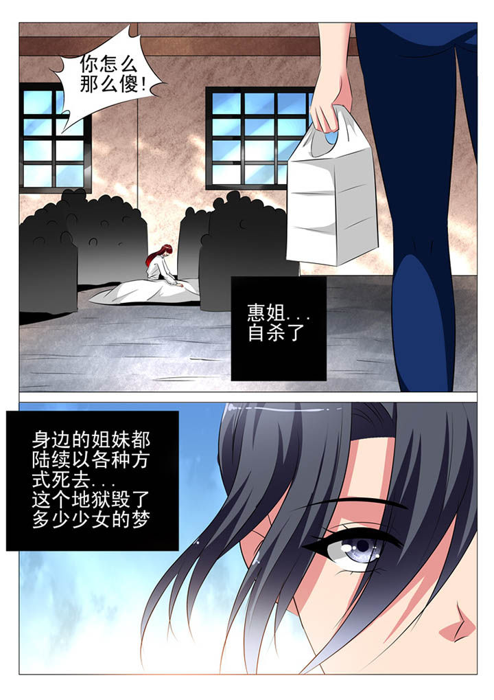 豪门刺客漫画下拉式六漫画,第104章：1图