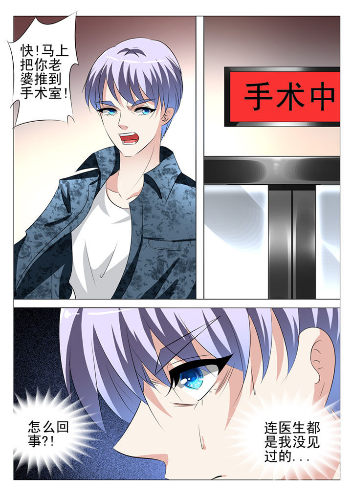 豪门刺客漫画小说叫什么漫画,第75章：2图