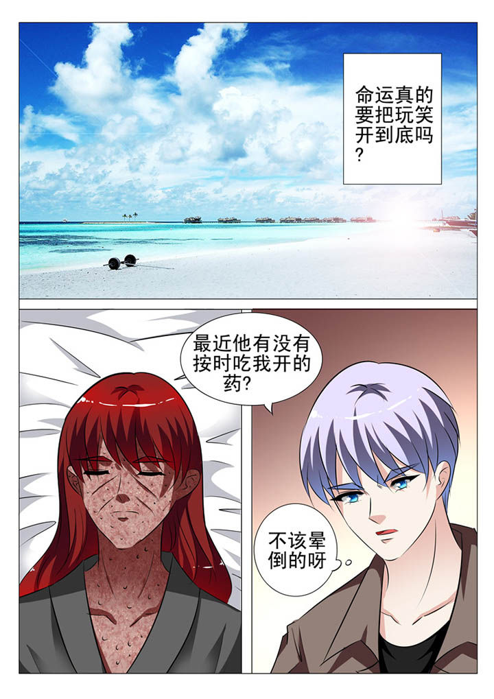 豪门刺客漫画漫画,第105章：2图