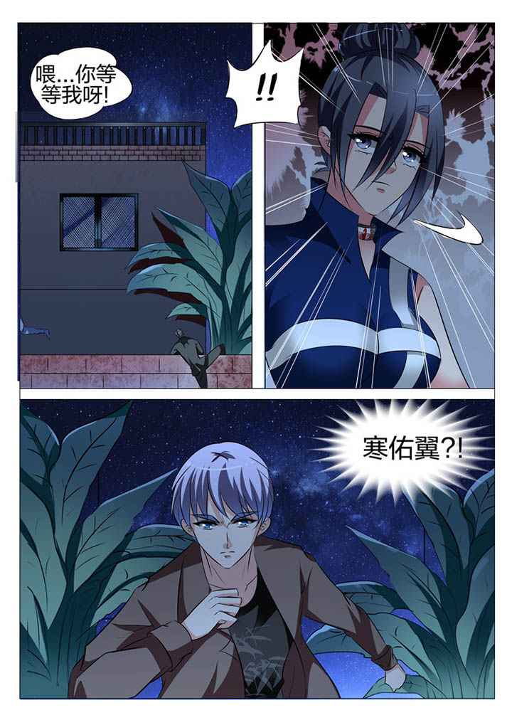 豪门刺客漫画免费漫画,第115章：1图