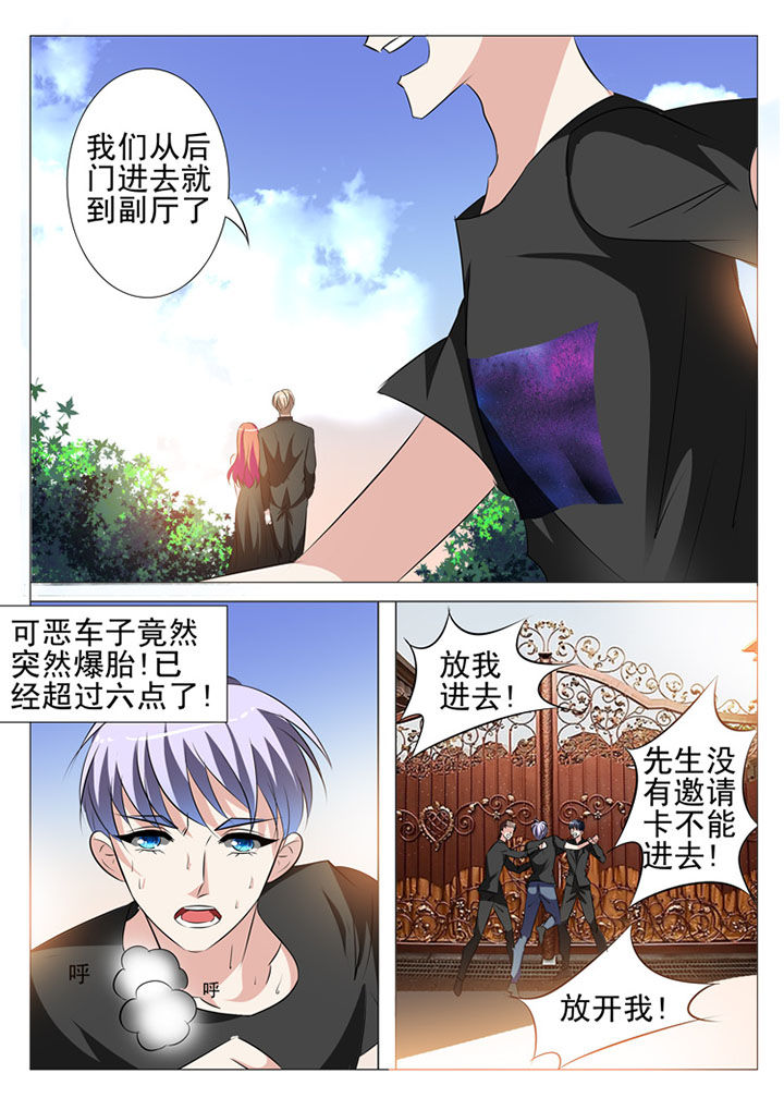 豪门刺客漫画免费观看漫画,第47章：2图