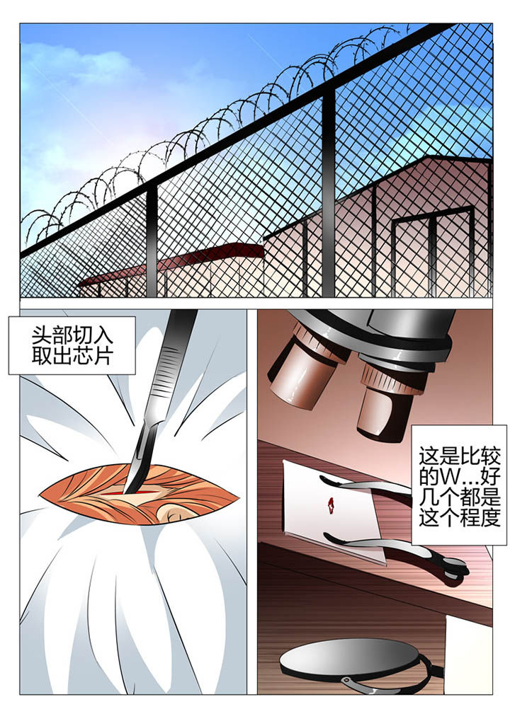 豪门刺客漫画小说叫什么漫画,第150章：2图