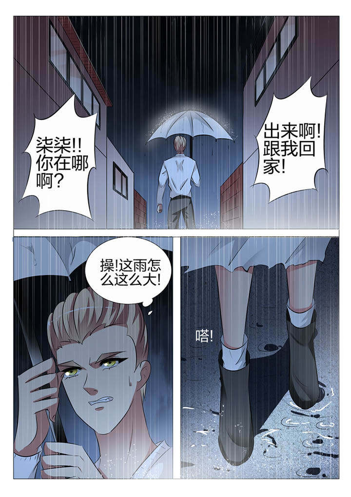 豪门刺客漫画免费观看漫画,第128章：1图