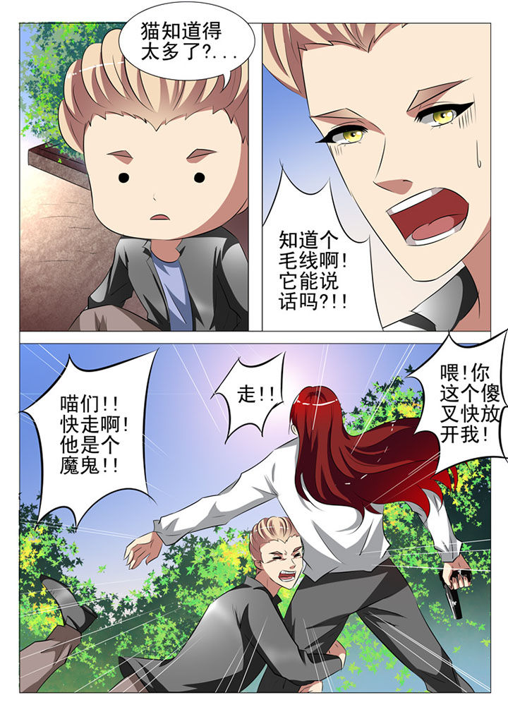 豪门刺客漫画下拉式六漫画,第88章：1图