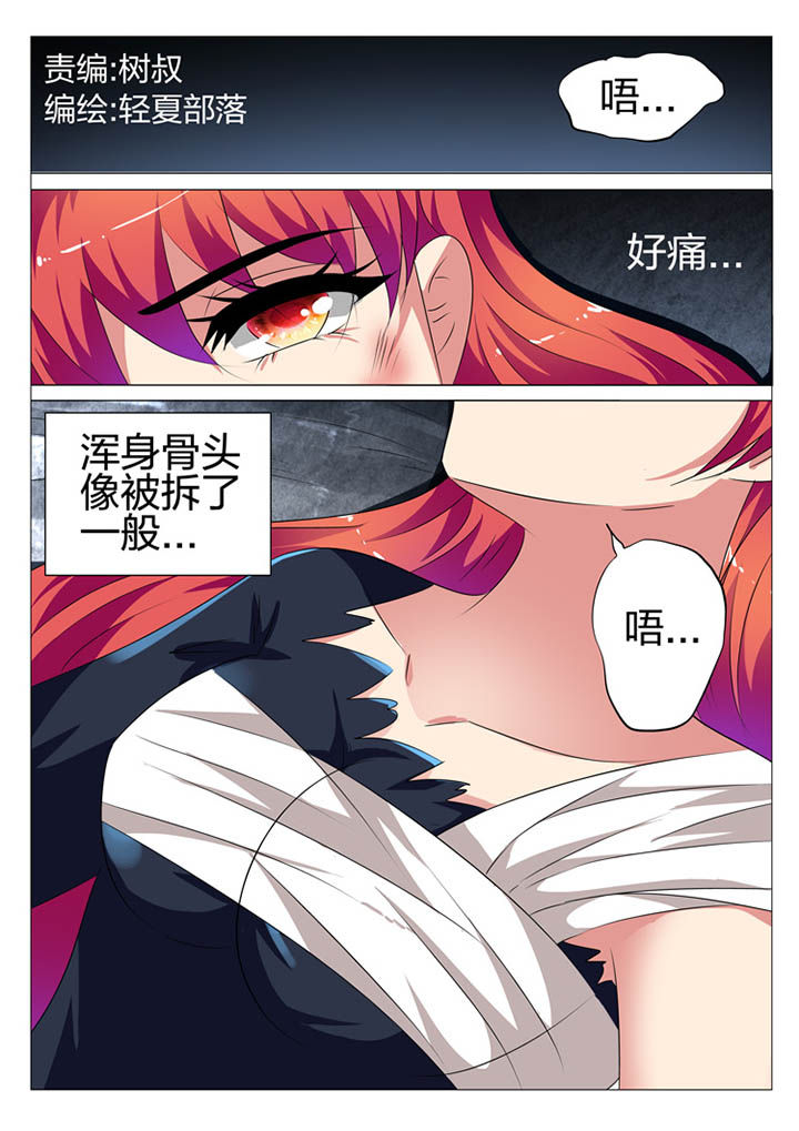 豪门刺客漫画下拉式六漫画,第174章：1图