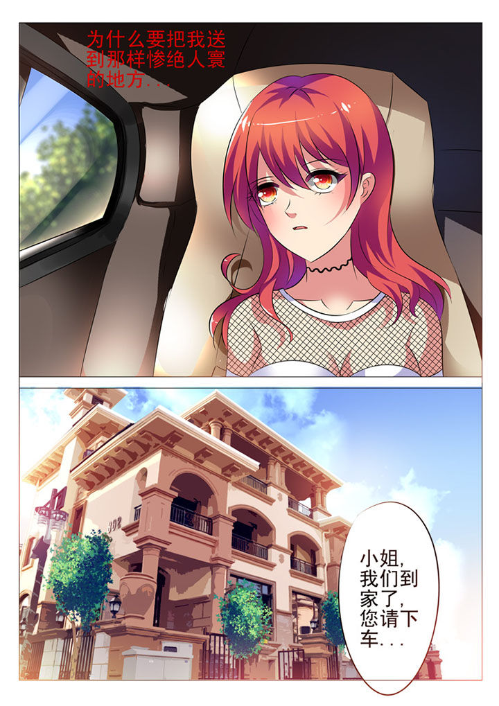 豪门替身新娘小说漫画,第4章：2图