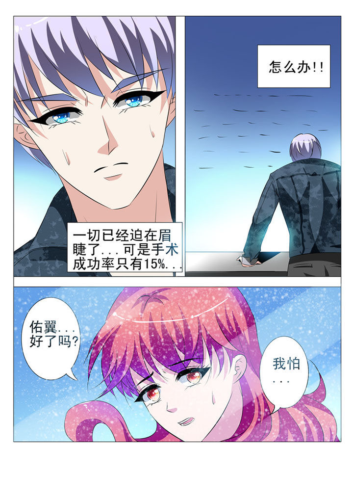 名媛刺客漫画,第69章：1图