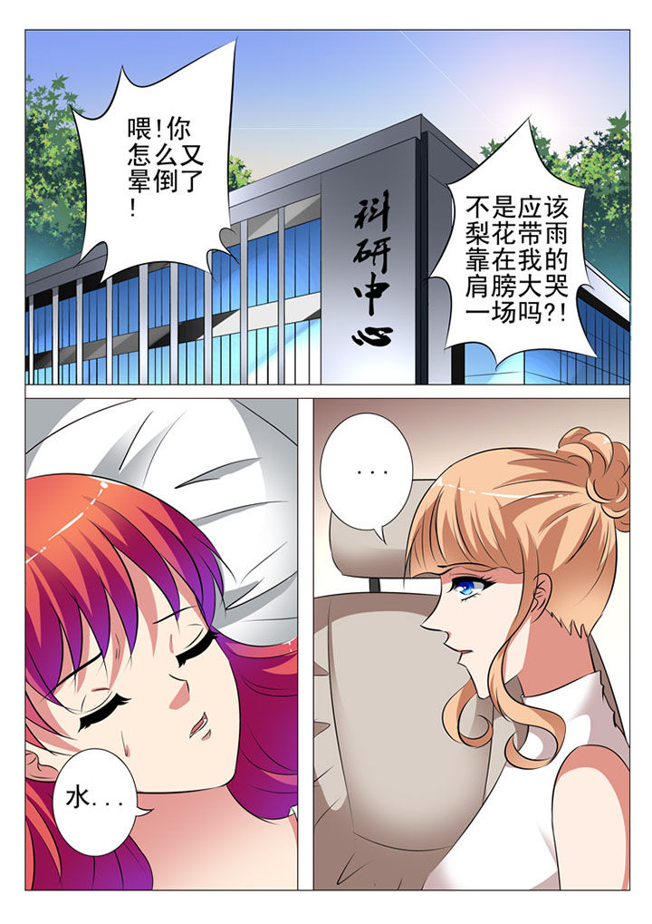 豪门刺客第1话漫画,第77章：2图