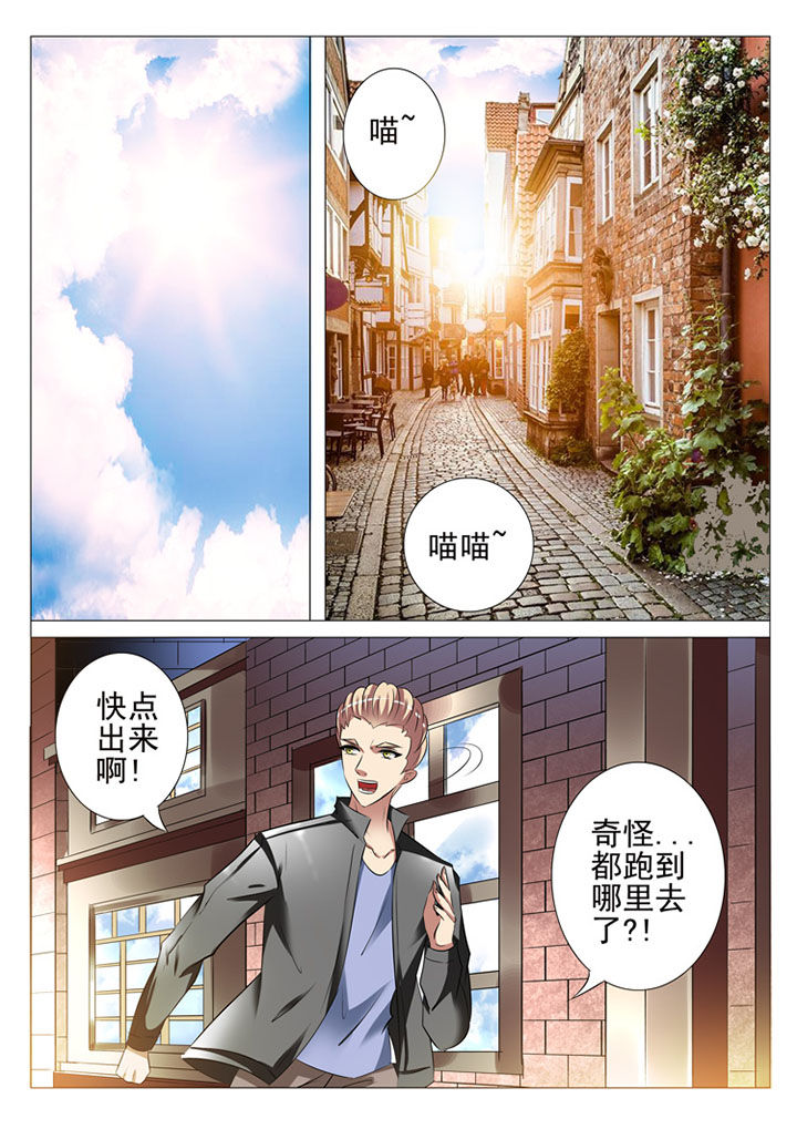 豪门刺客许七七漫画解说漫画,第88章：2图