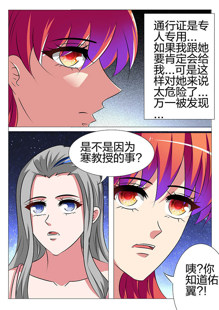 豪门刺客漫画免费全集漫画,第151章：2图