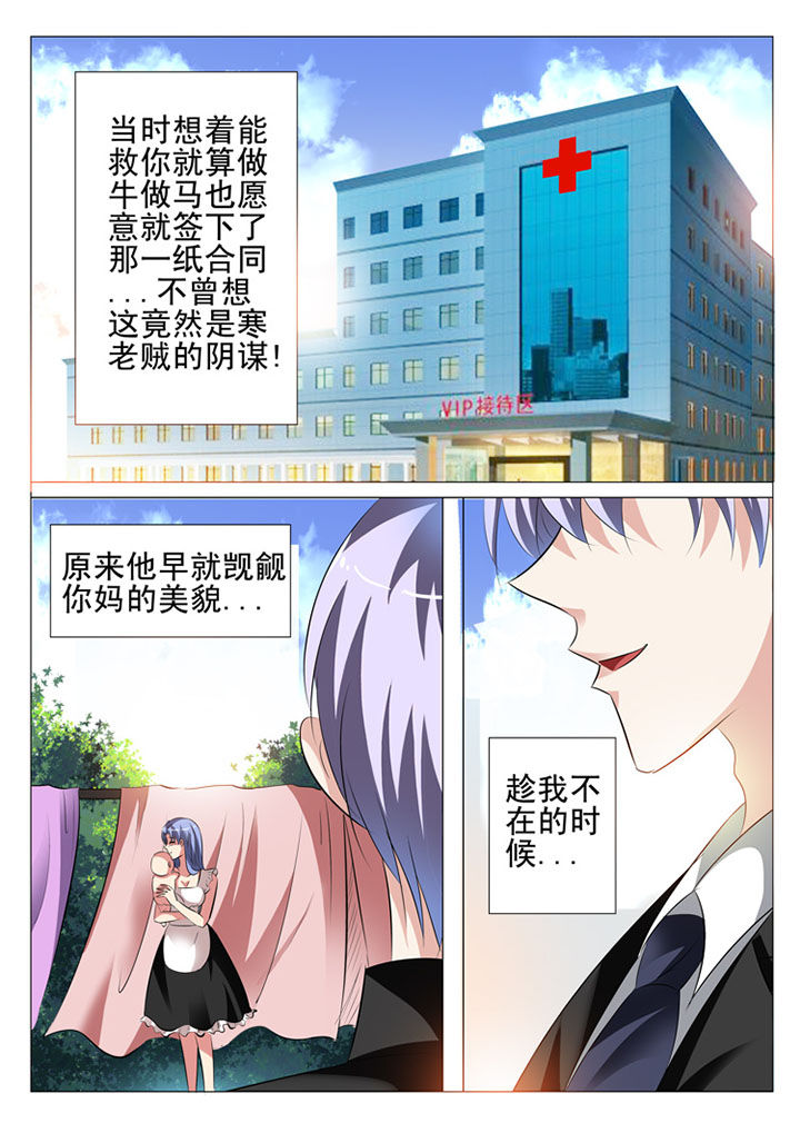 豪门刺客漫画漫画,第41章：2图