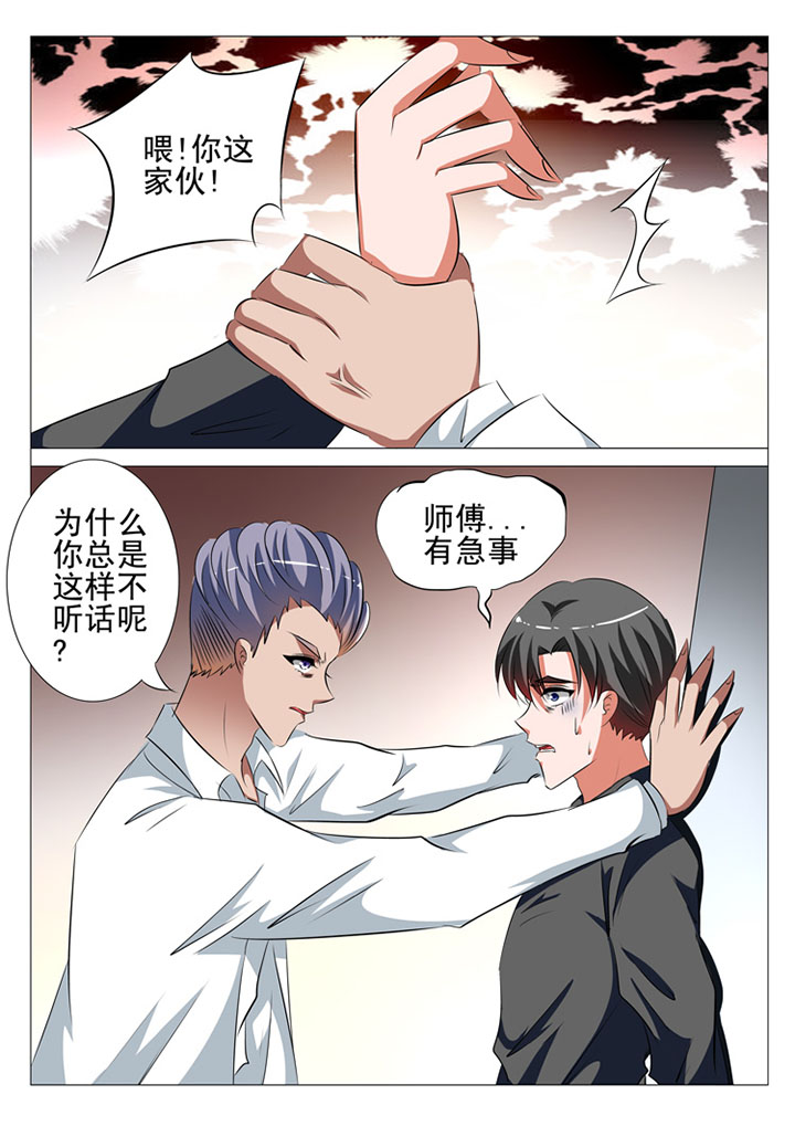 豪门刺客下拉漫画,第74章：2图