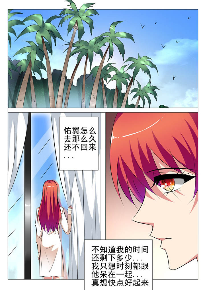 豪门总裁言情小说漫画,第105章：1图