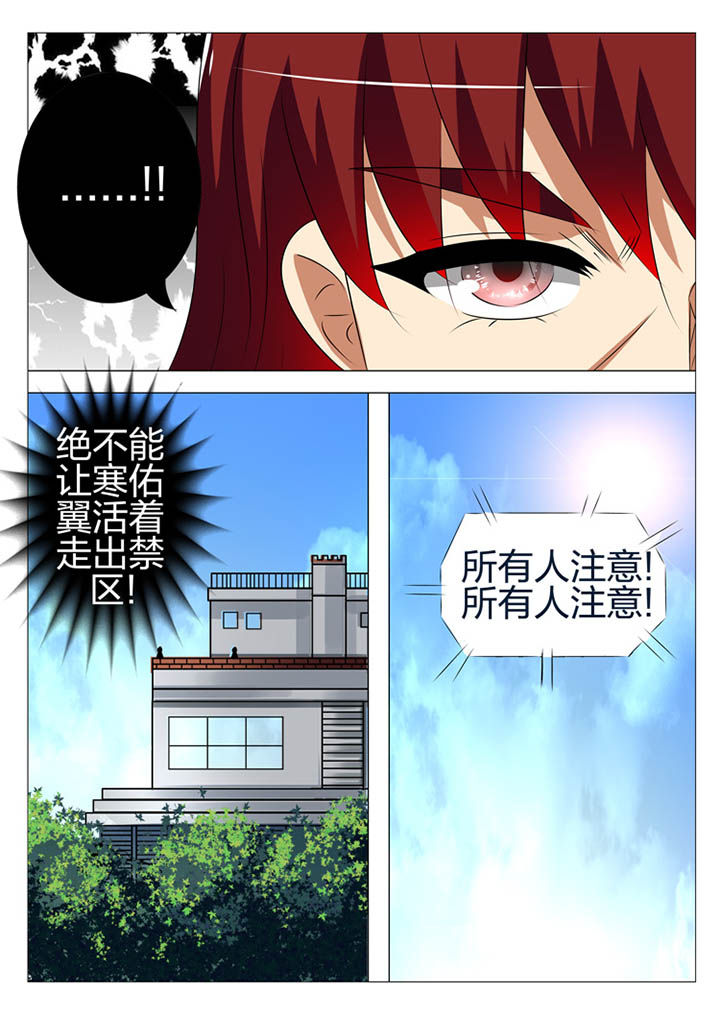 豪门刺客漫画小说叫什么漫画,第170章：2图