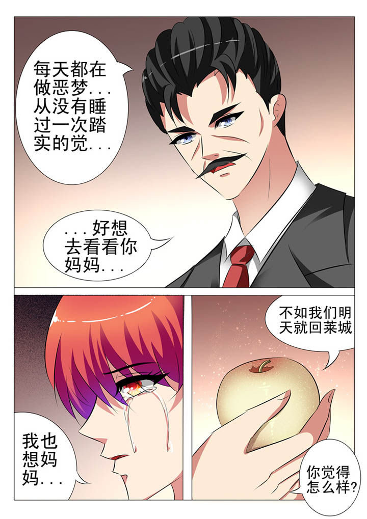 豪门刺客漫画免费下拉式漫画,第102章：1图