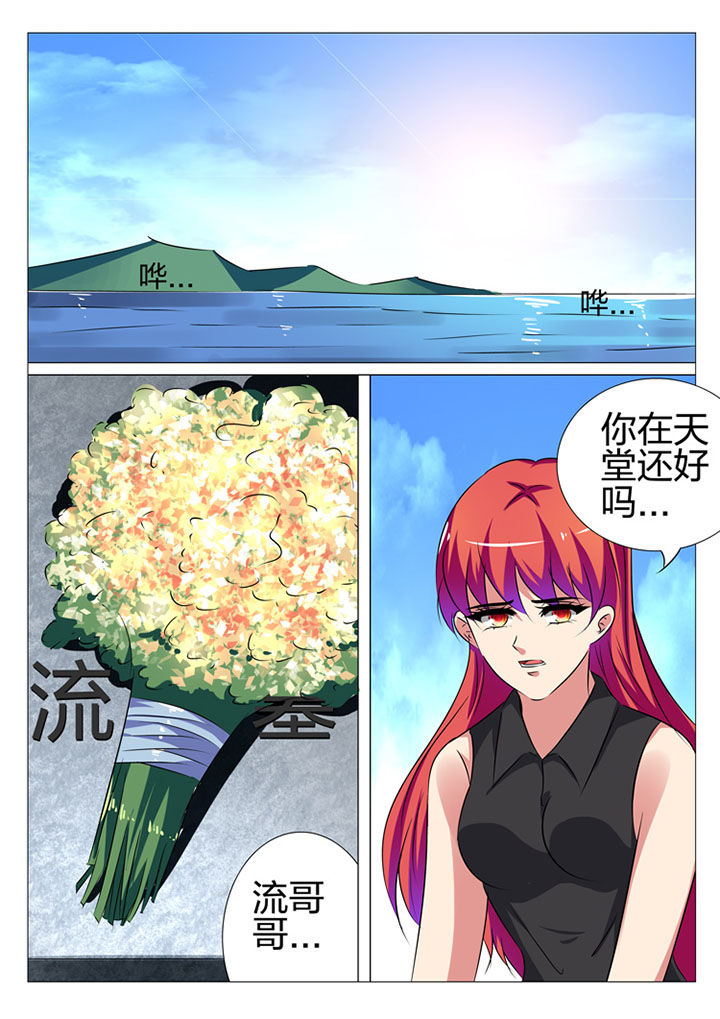 豪门刺客许七七漫画解说漫画,第183章：1图