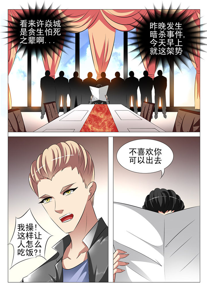 豪门刺客漫画下拉式六漫画,第84章：1图