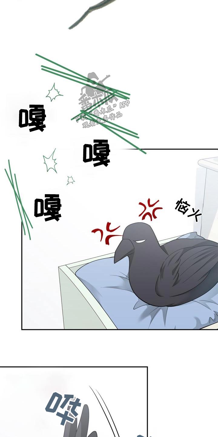 偷心情圣吻戏漫画,第70章：【第二季】说话的鸟2图