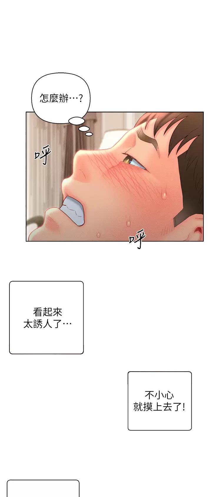 入赘女婿漫画免费阅读全集无弹窗漫画,第19话1图