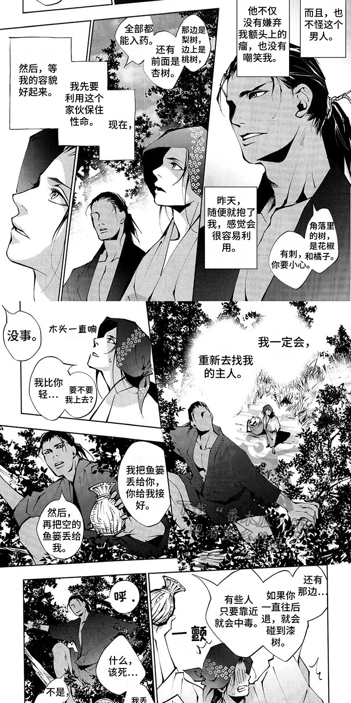 树荫下的王楚然漫画,第4章：名字2图