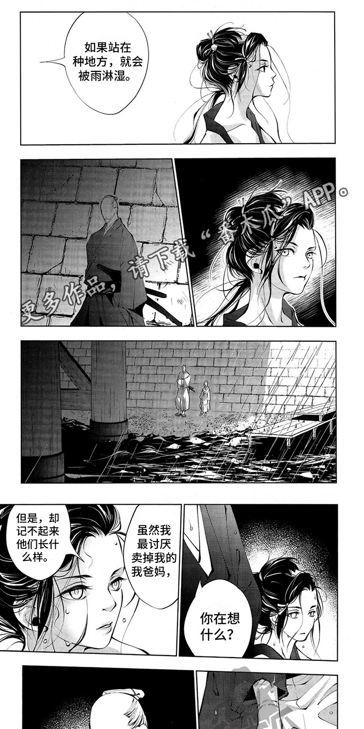 树荫下的阳光视频漫画,第9章：谋生1图