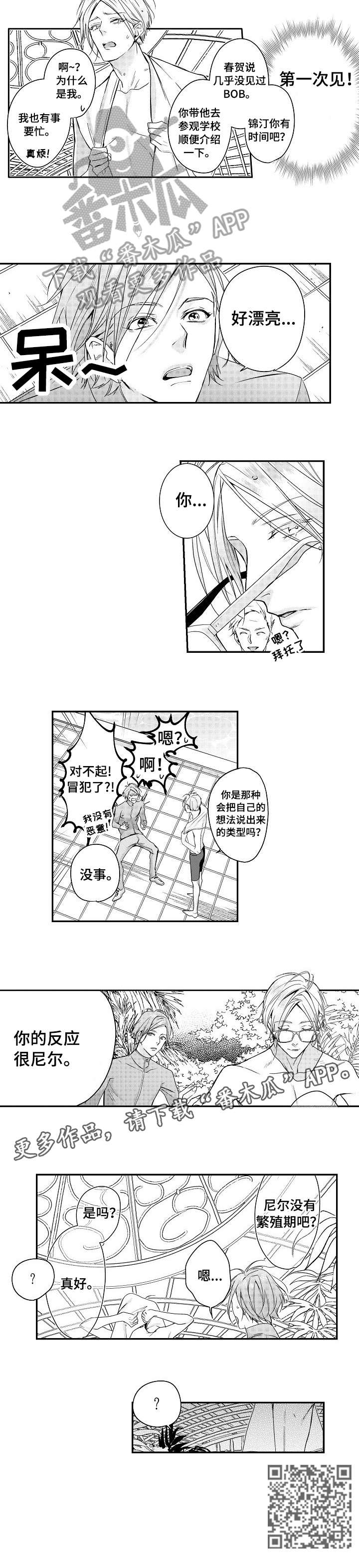 bob世界漫画免费阅读在线漫画,第3章：学校2图