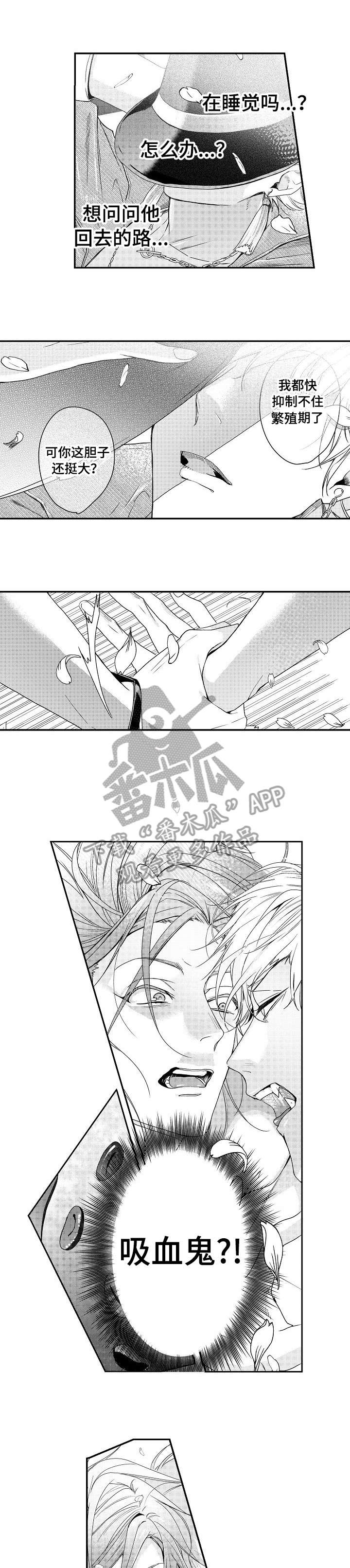 bob世界盲盒新品漫画,第5章：吸血鬼2图