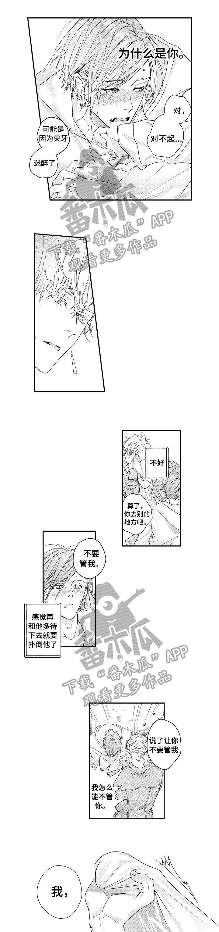 bob欧洲漫画,第19章：过去1图