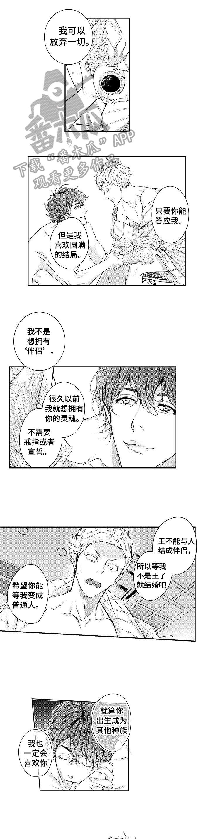 bob世界漫画免费阅读在线漫画,第17章：美妙1图