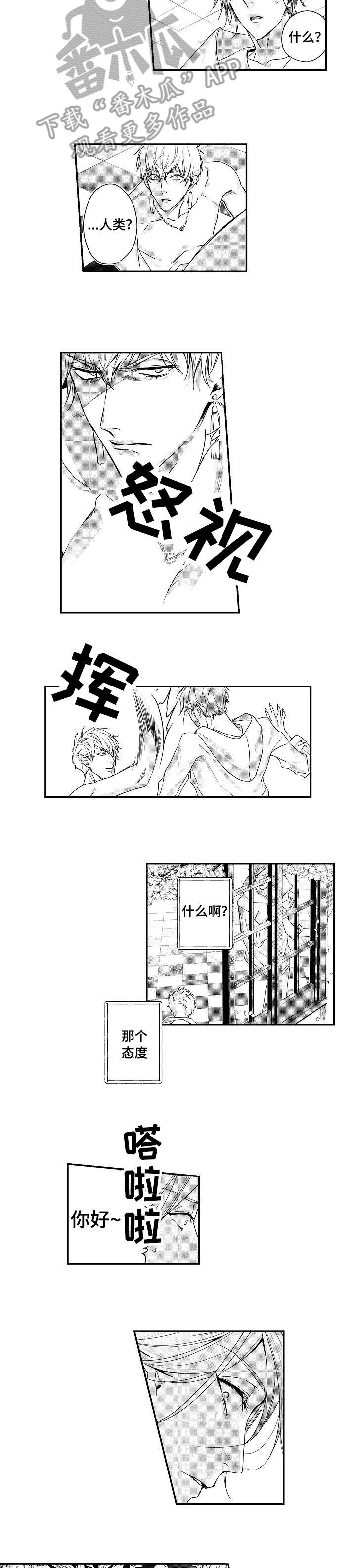 bobo世界边缘价格漫画,第6章：住手2图