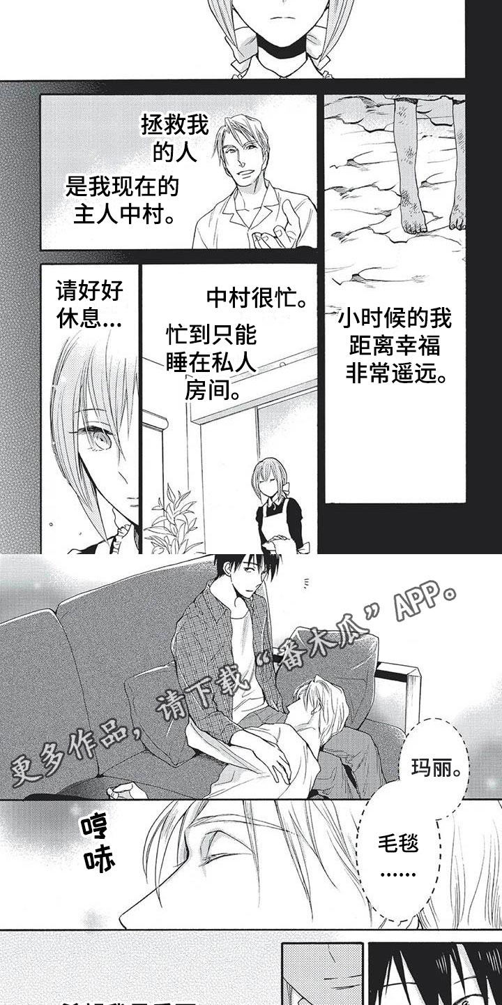 间谍之桥合集漫画,第28章：永远幸福（完）2图