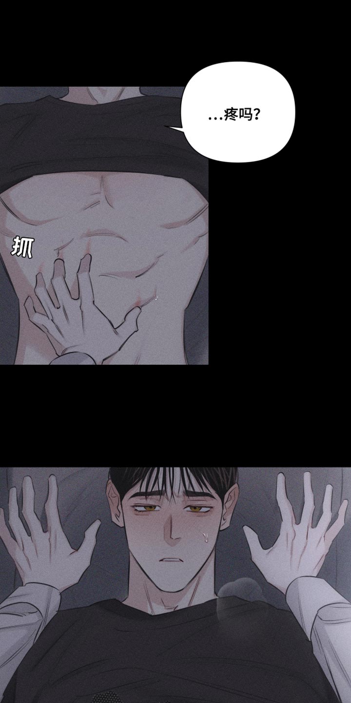 瓷器豆型漫画,第16章：特殊形态1图