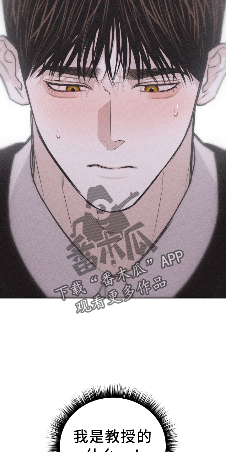 瓷器娃娃图片大全漫画,第52章：没有生气2图