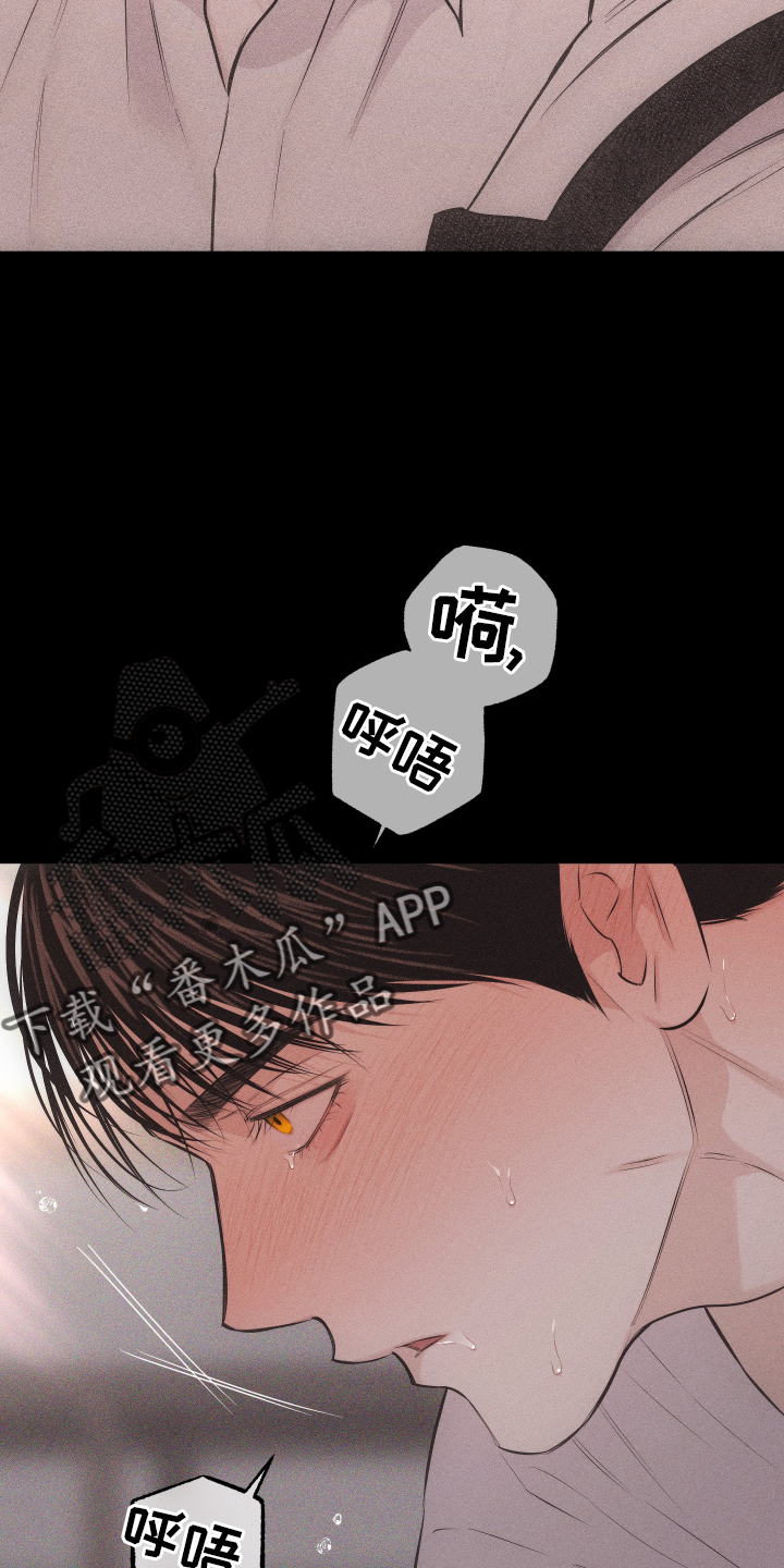 瓷器口漫画,第50章：信号2图