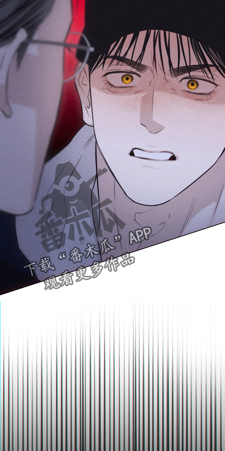 瓷器娃娃图片大全漫画,第45章：质疑2图