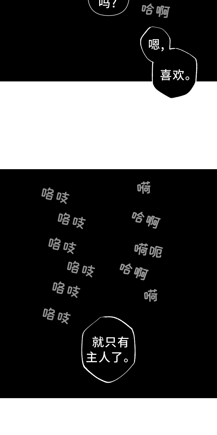 瓷器娃娃图片大全漫画,第45章：质疑1图