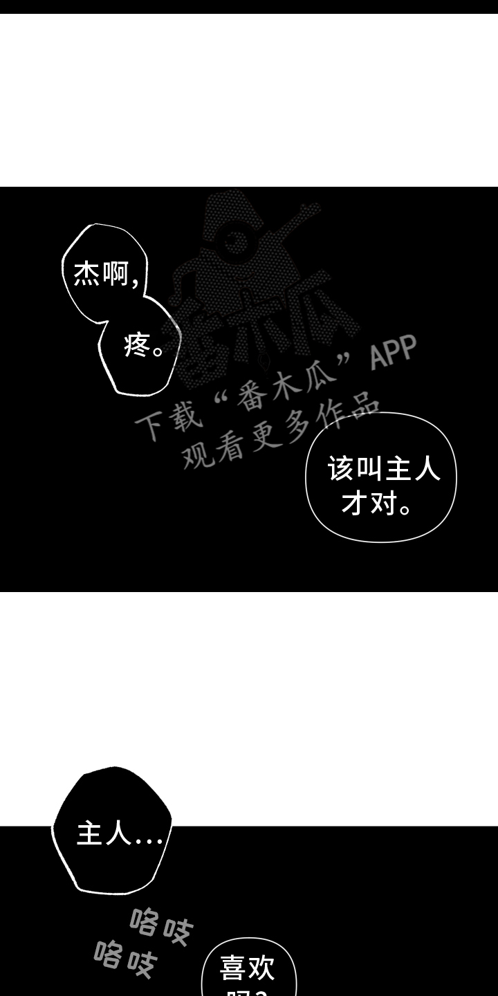 瓷器娃娃图片大全漫画,第45章：质疑2图