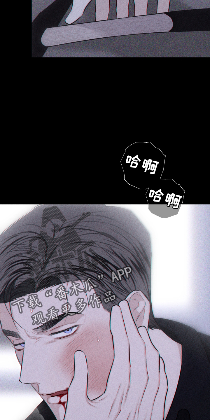 瓷器娃娃图片大全漫画,第45章：质疑2图