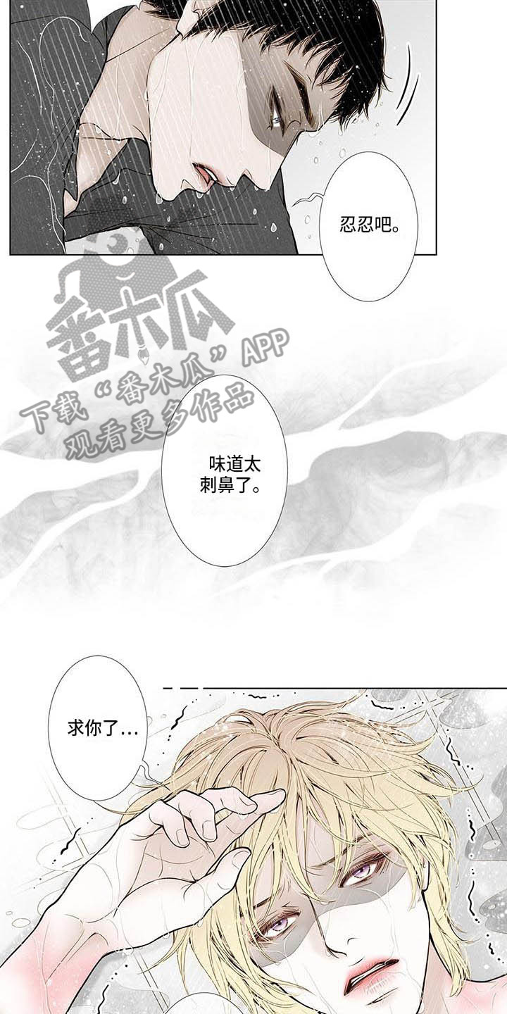 美味佳肴漫画,第13章：不会放过你2图