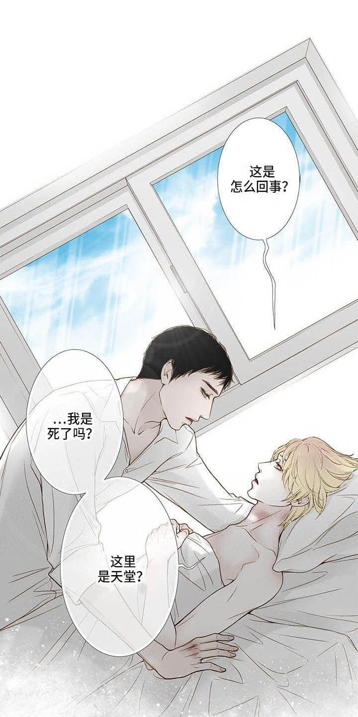 美味佳肴漫画,第19章：照顾1图