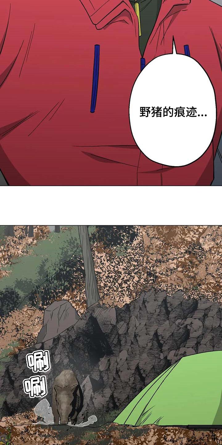 杀手暖心的句子漫画,第36章：野猪的痕迹1图