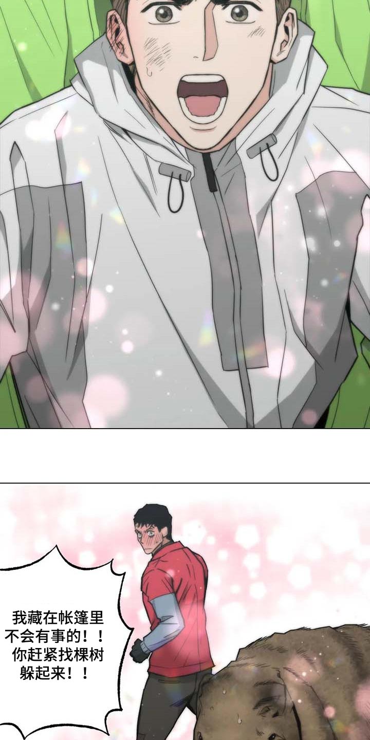 暖心杀手漫画,第37章：又多了一只1图