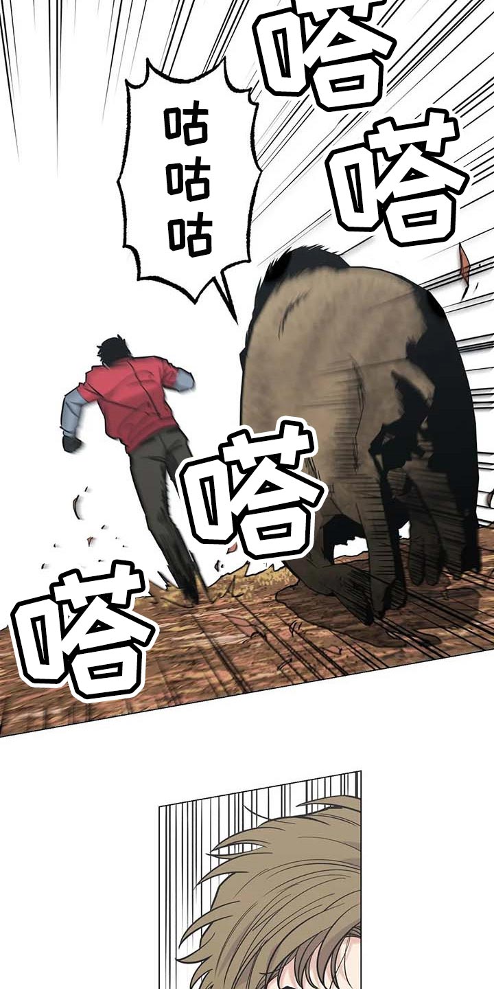 暖心杀手漫画,第37章：又多了一只2图