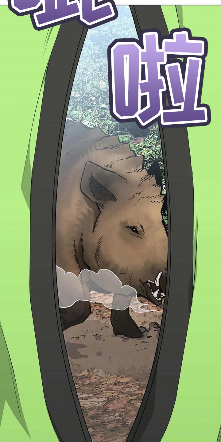 暖心杀手漫画,第35章：野猪2图