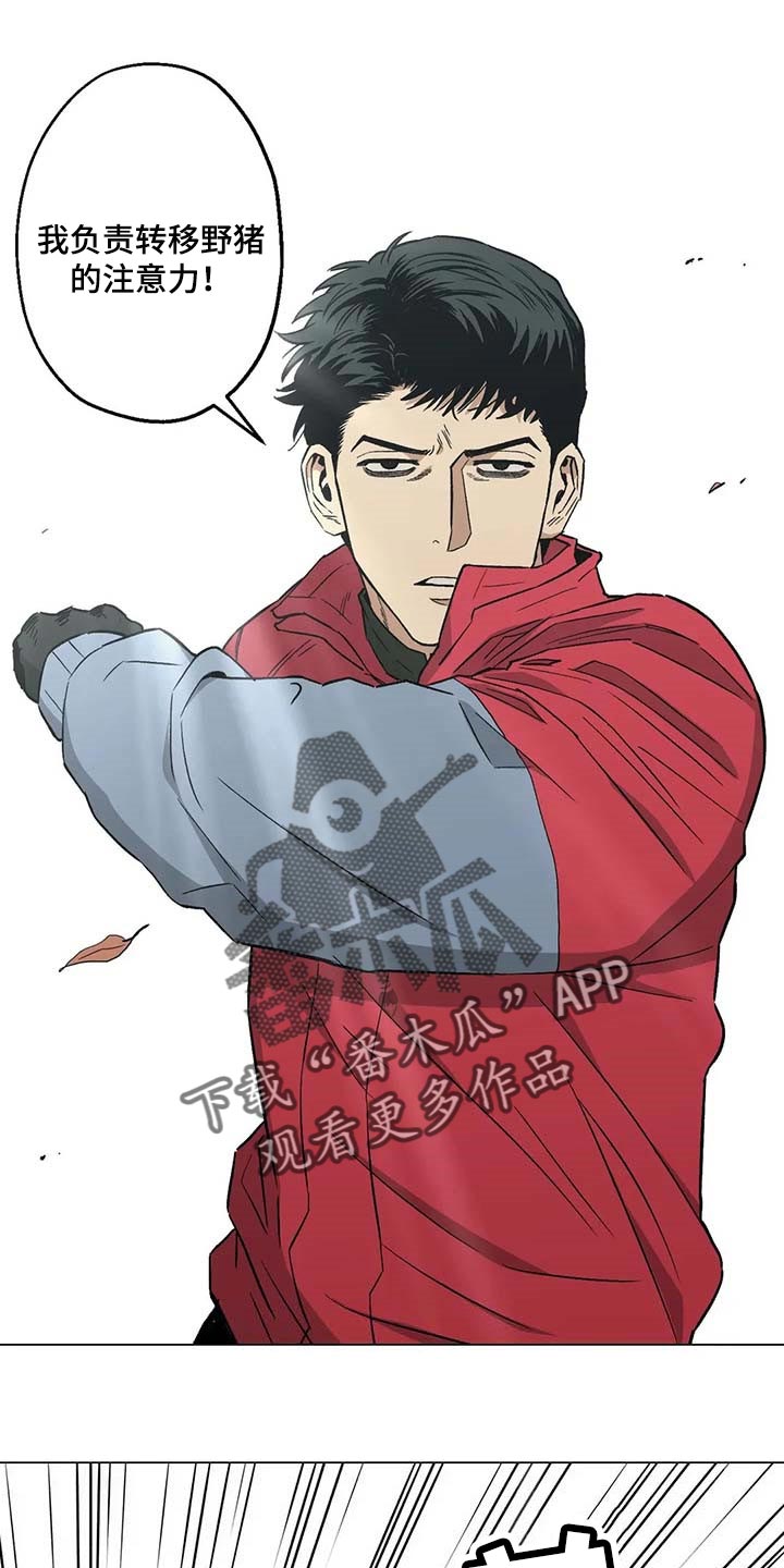暖心杀手漫画,第37章：又多了一只1图