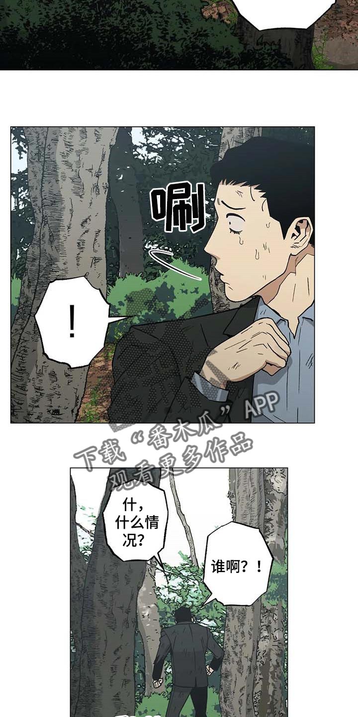 暖心正能量漫画,第36章：野猪的痕迹2图