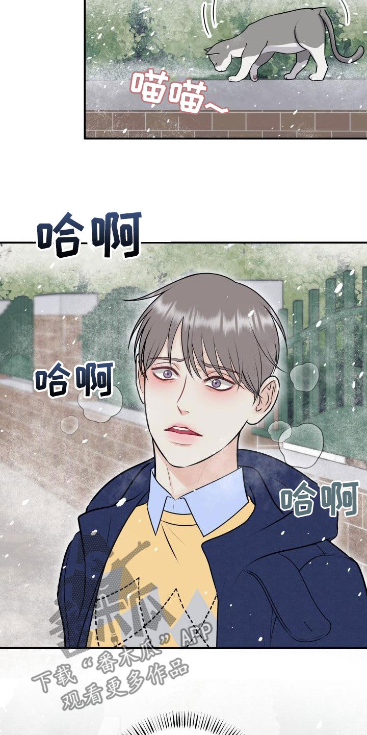 我非常喜欢他的英文漫画,第102章：【第二季】我们分手吧1图